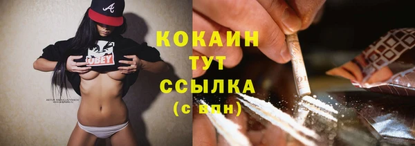 дмт Струнино
